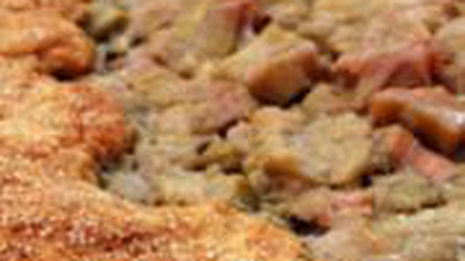 Tarte rustique à la rhubarbe