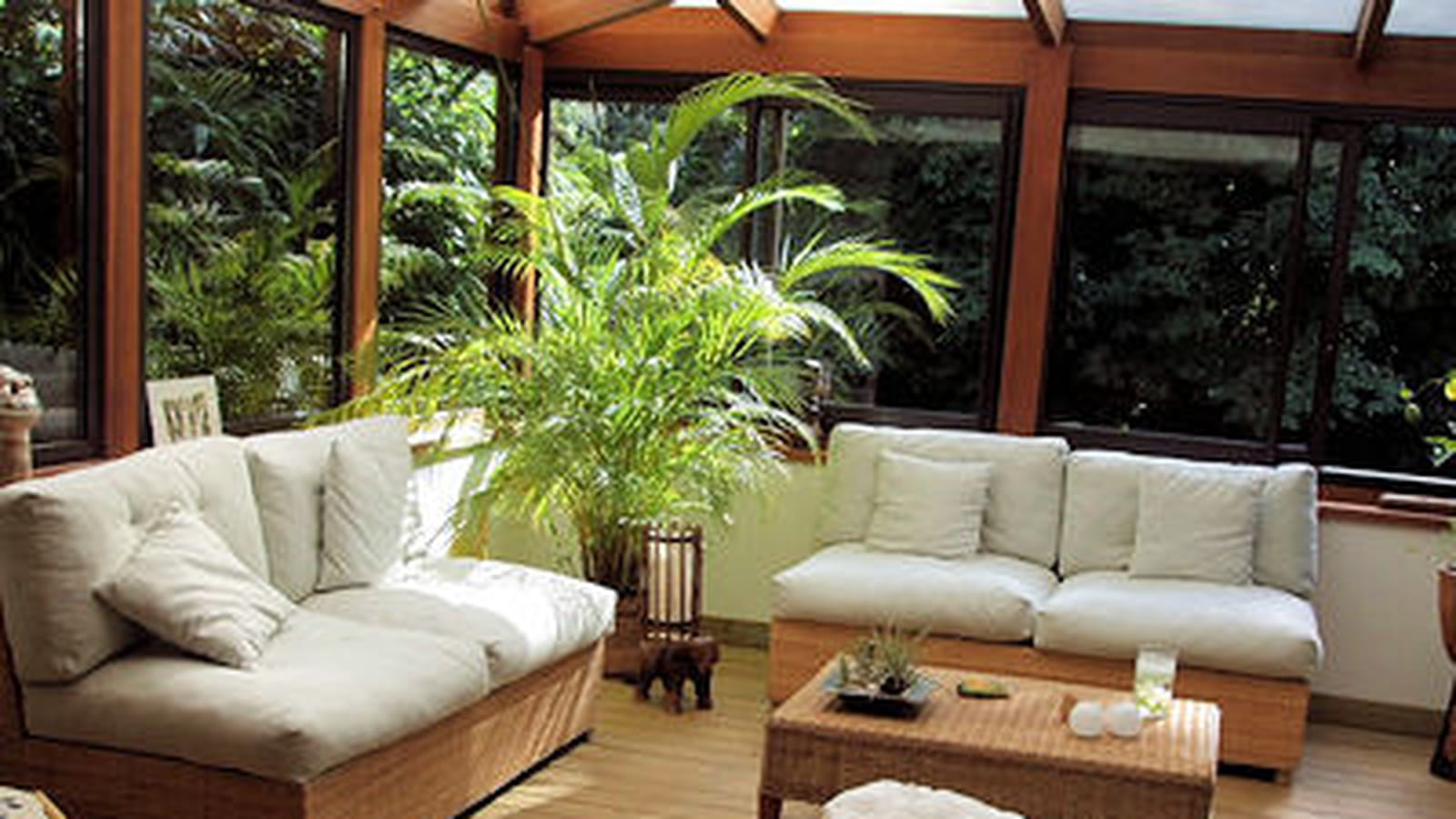 Un jardin d'hiver