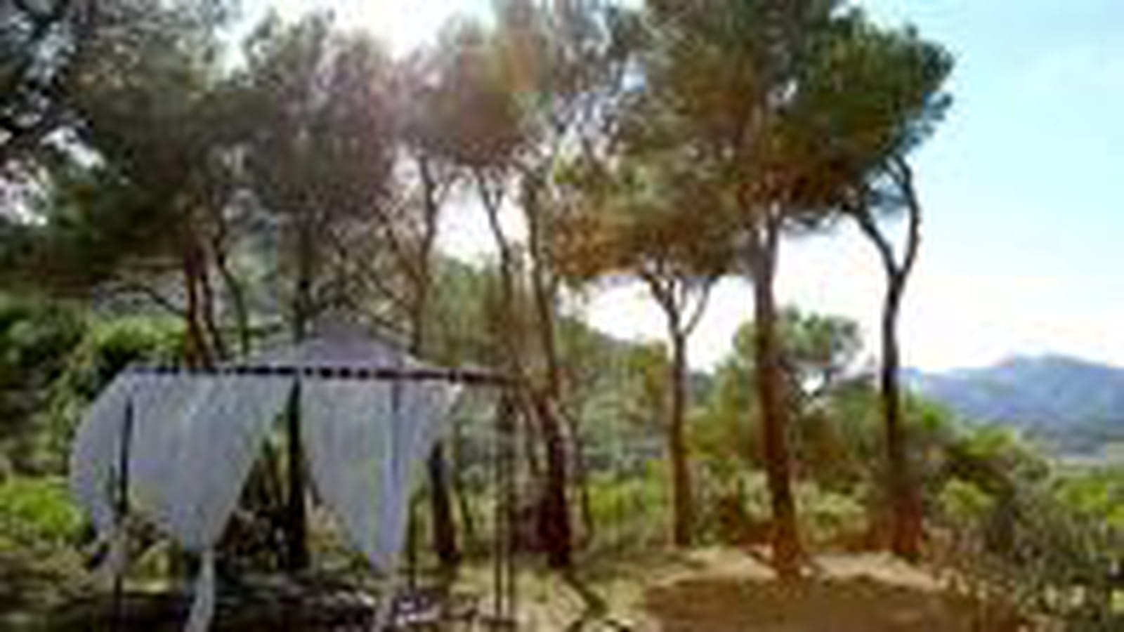 Dans le Vaucluse