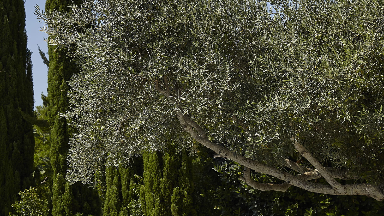 Salon de jardin Castorama