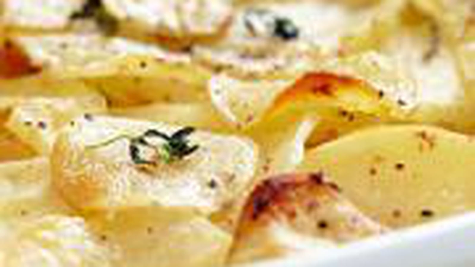 Gratin Dauphinois