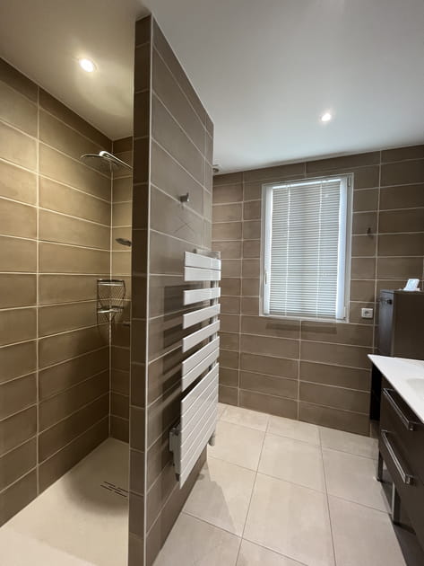 Avant&nbsp;: une salle d'eau spacieuse, mais trop morose pour la famille