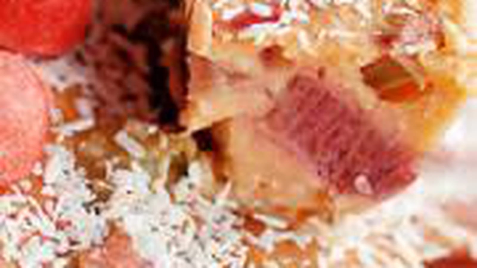 Clafoutis à la rhubarbe, noix de coco et fraises tagada