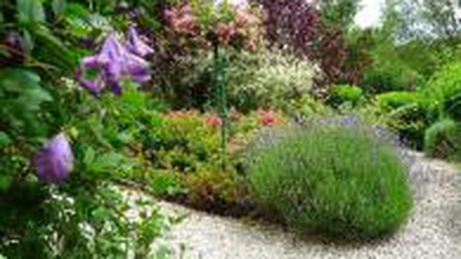 Jardin de Pierre