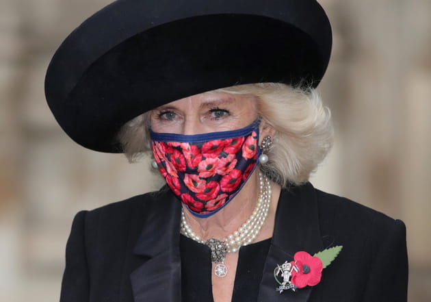 Camilla Parker Bowles, accordée