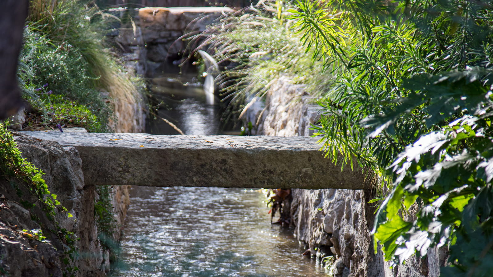 Jardin