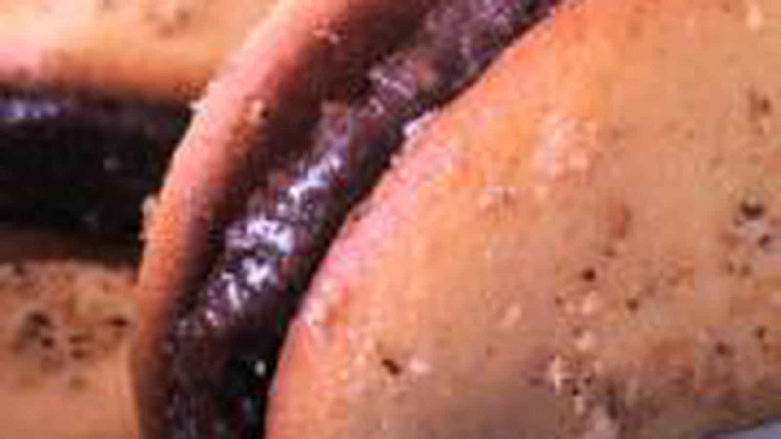 Whoopies noisettes