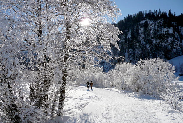 randonnã©e au lauener rohr photo o