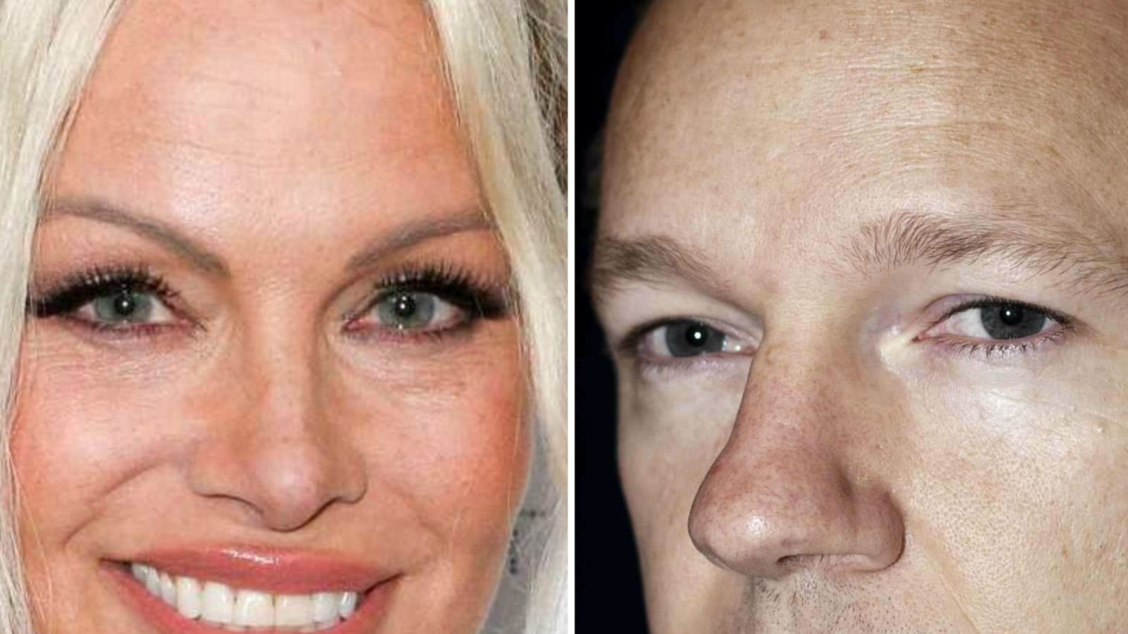 Pamela Anderson et Julian Assange