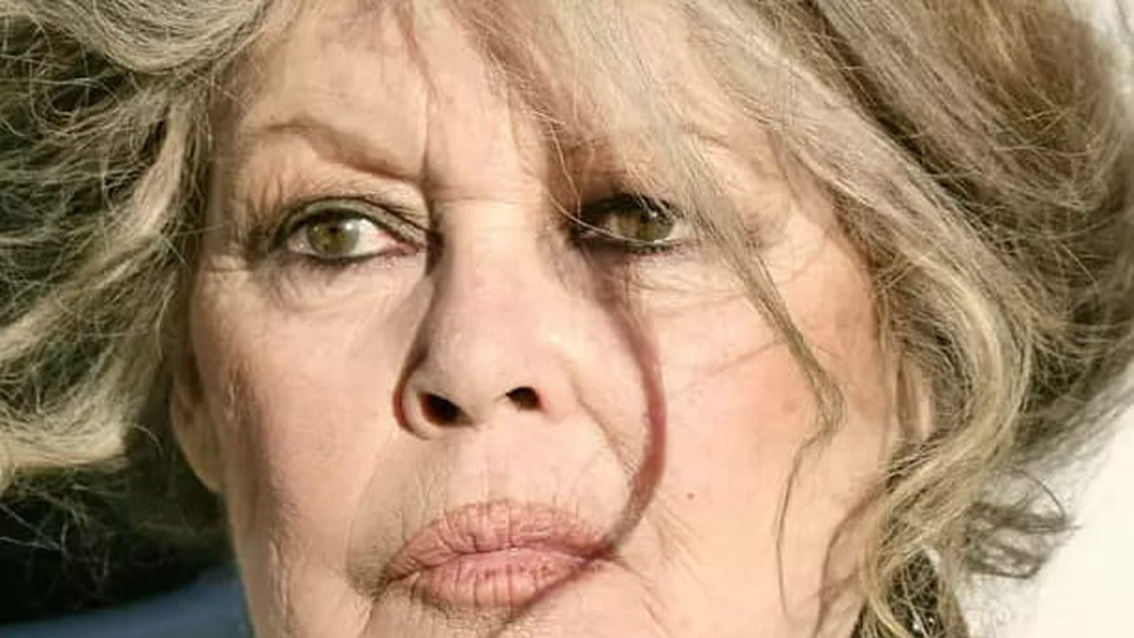 Brigitte Bardot