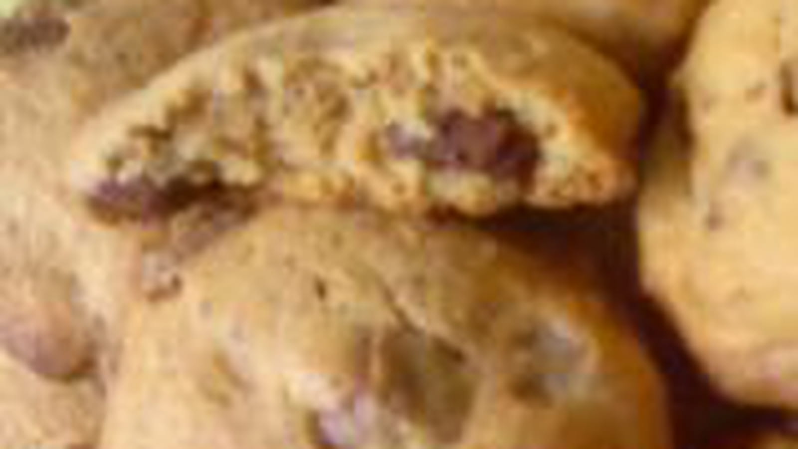 Cookies noisettes et Pralinoise