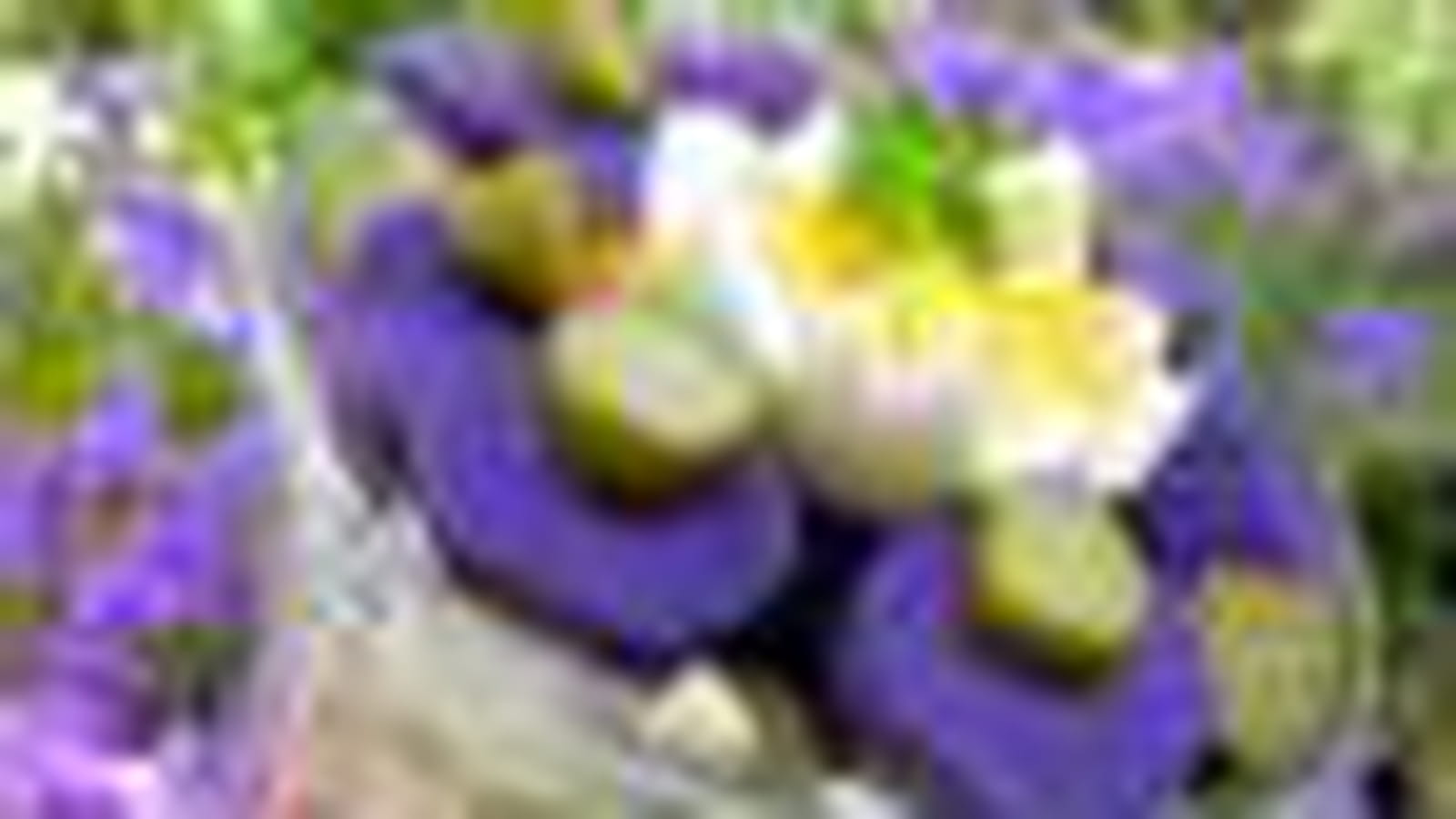 Piémontaise violette