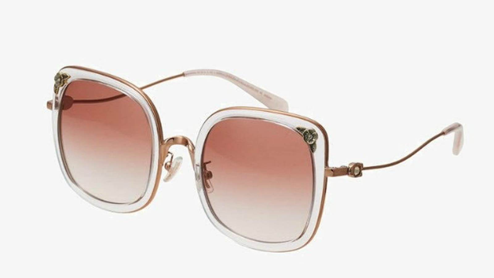 Coach sur Zalando