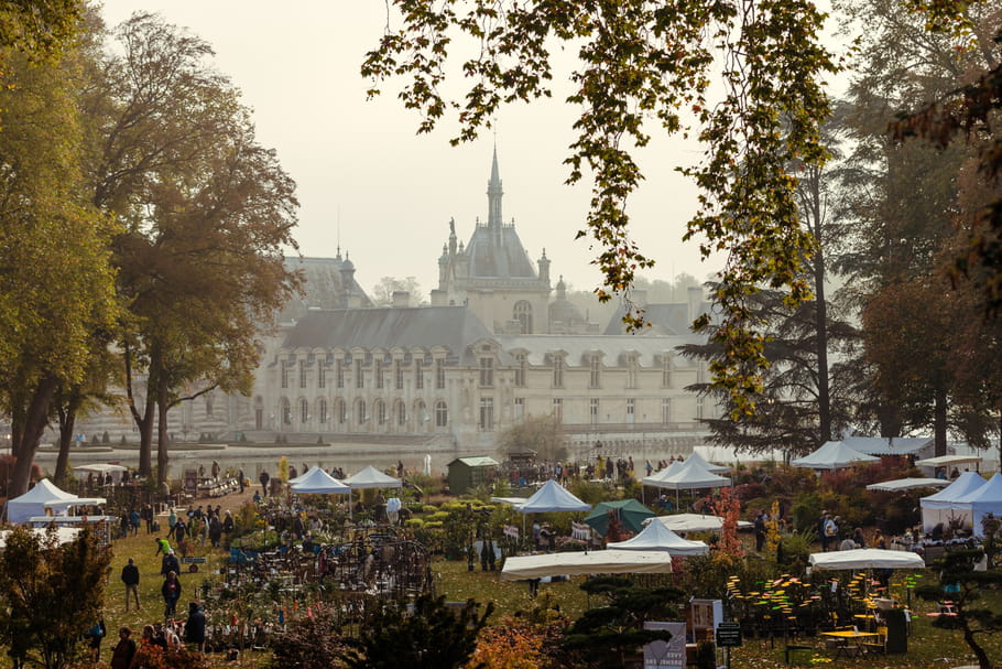 Journées des Plantes de Chantilly 2020 : demandez le programme !