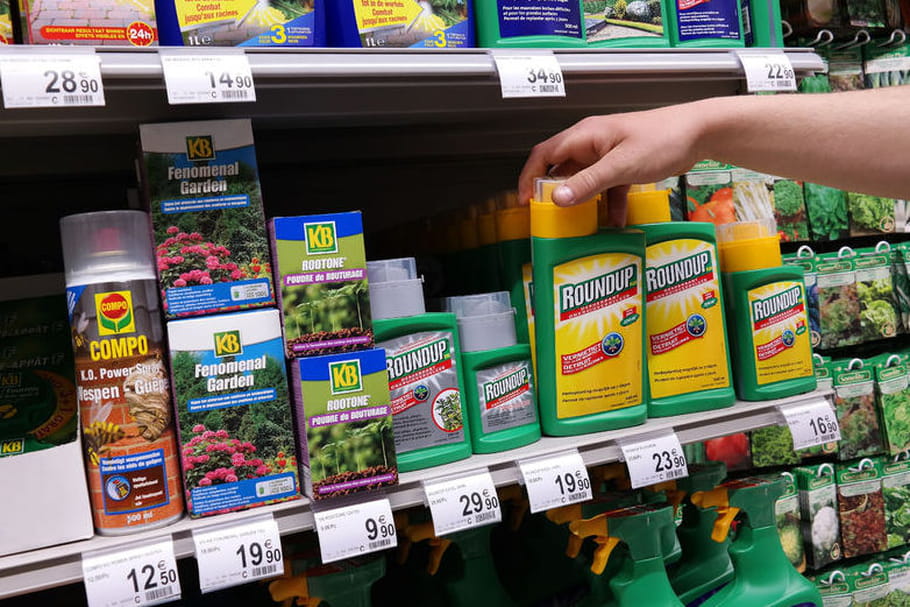 Glyphosate : la Commission européenne donne son feu vert à l'herbicide controversé