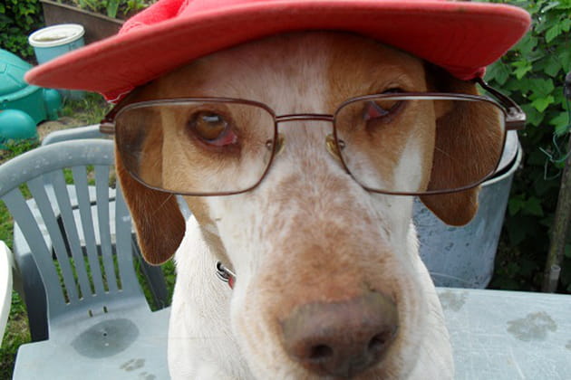 Pour la prochaine collection