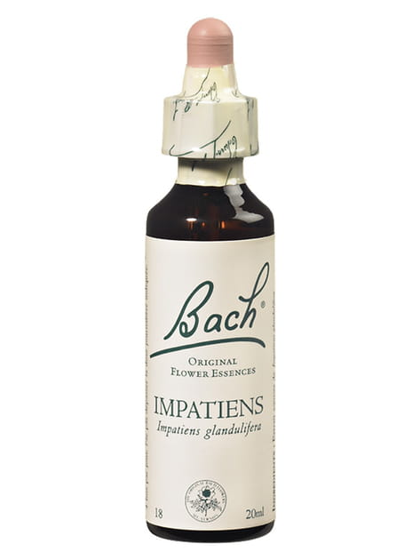 Impatiens (impatience)&nbsp;: pour trouver son vrai bon rythme