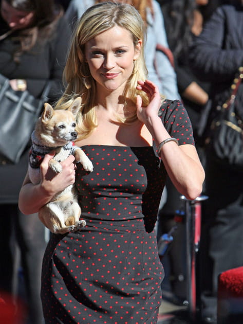 Reese Witherspoon et son chihuahua