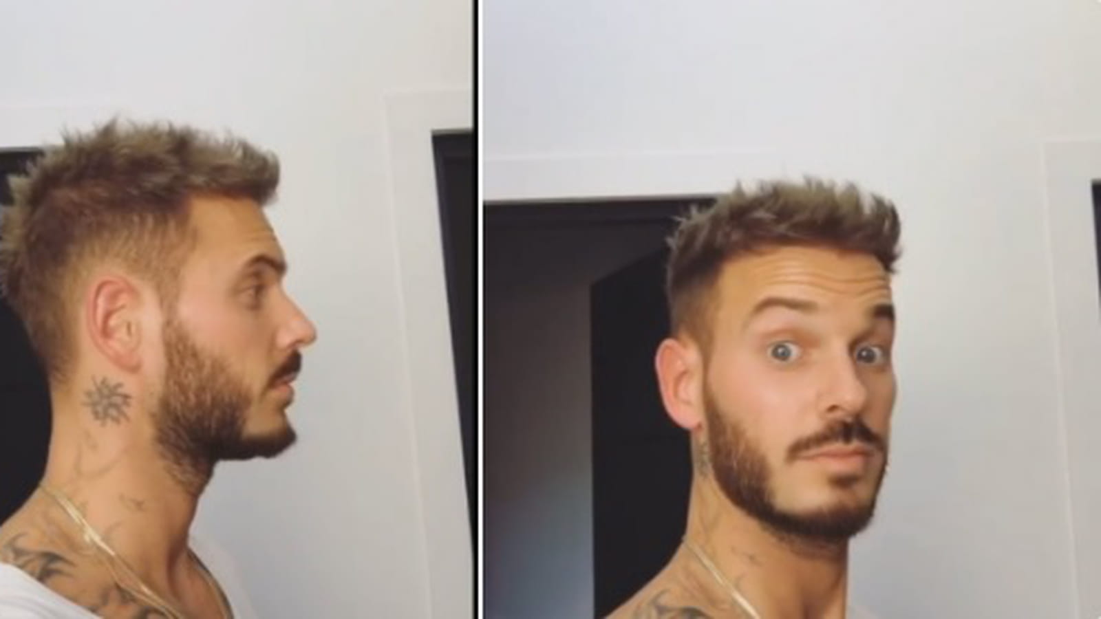 M. Pokora