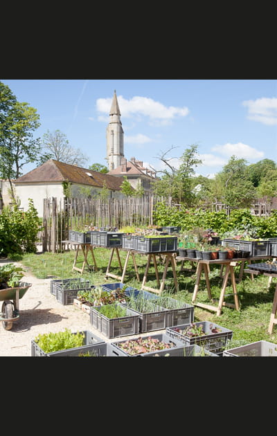 Yves Rocher, pr&eacute;curseur dans le d&eacute;veloppent durable