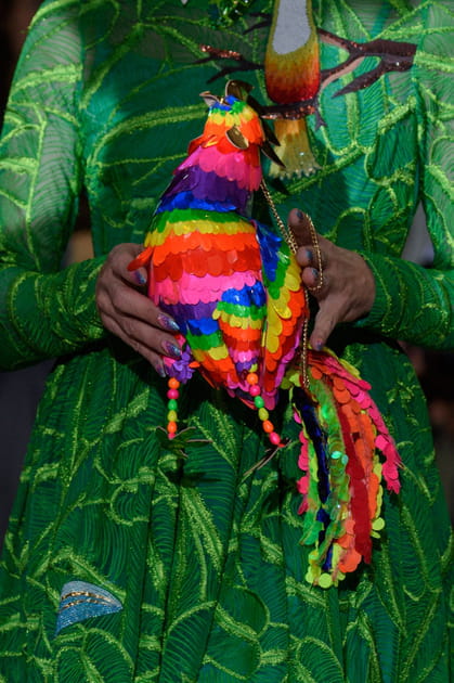 Le petit sac oiseau multicolore du d&eacute;fil&eacute; Manish Arora