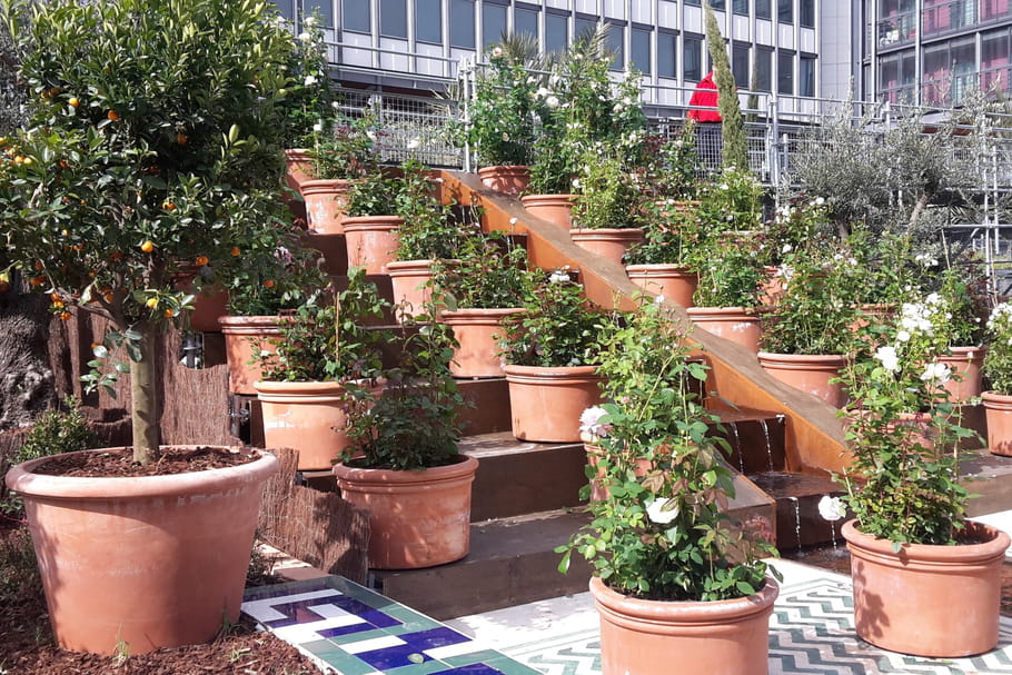 Les Jardins d'Orient à l'Institut du monde arabe