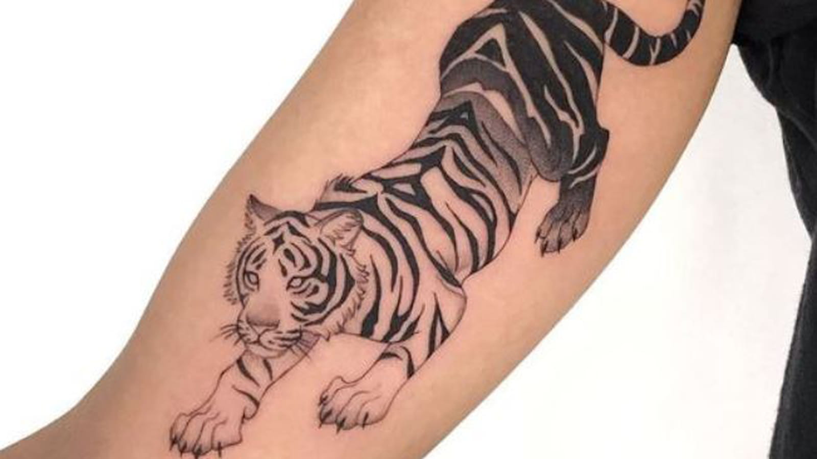Tigre dégradé sur le bras