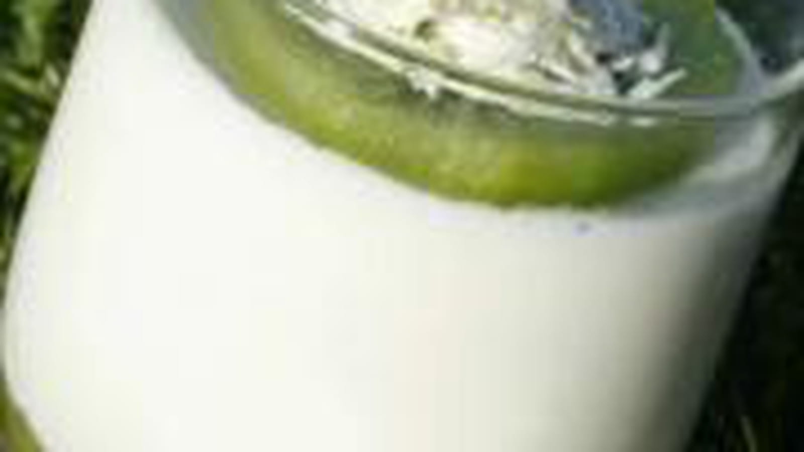 Panna cotta coco-kiwi