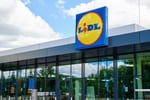 À tout petit prix chez Lidl, cette plante transforme les massifs d'automne en un clin d'œil