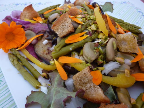 Salade de fèves et d'aubergines aux croûtons aillés