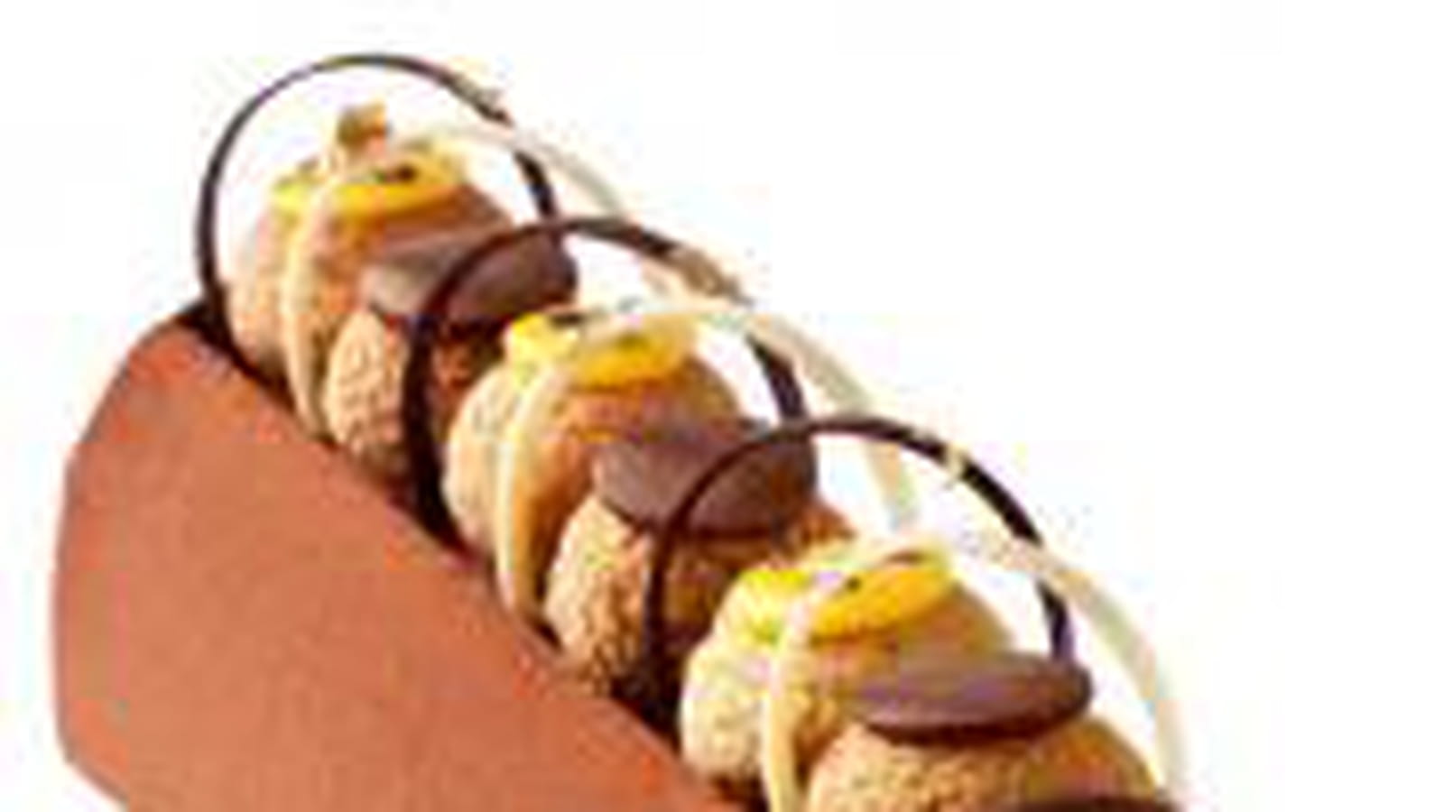 Bûche chocolat-passion Canderel par Popelini
