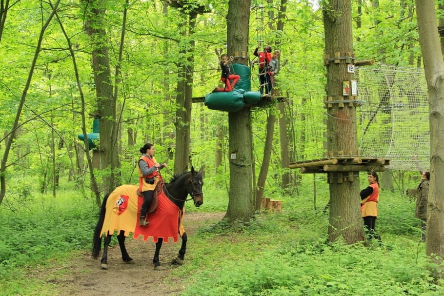 Sherwood Parc, pour les aventuriers