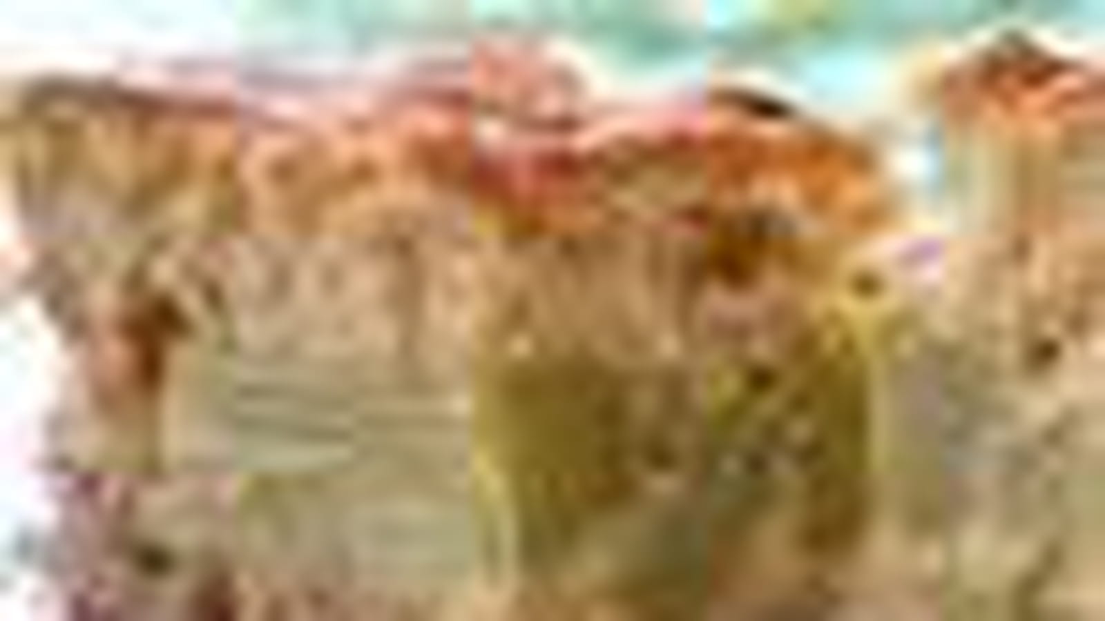 Gâteau