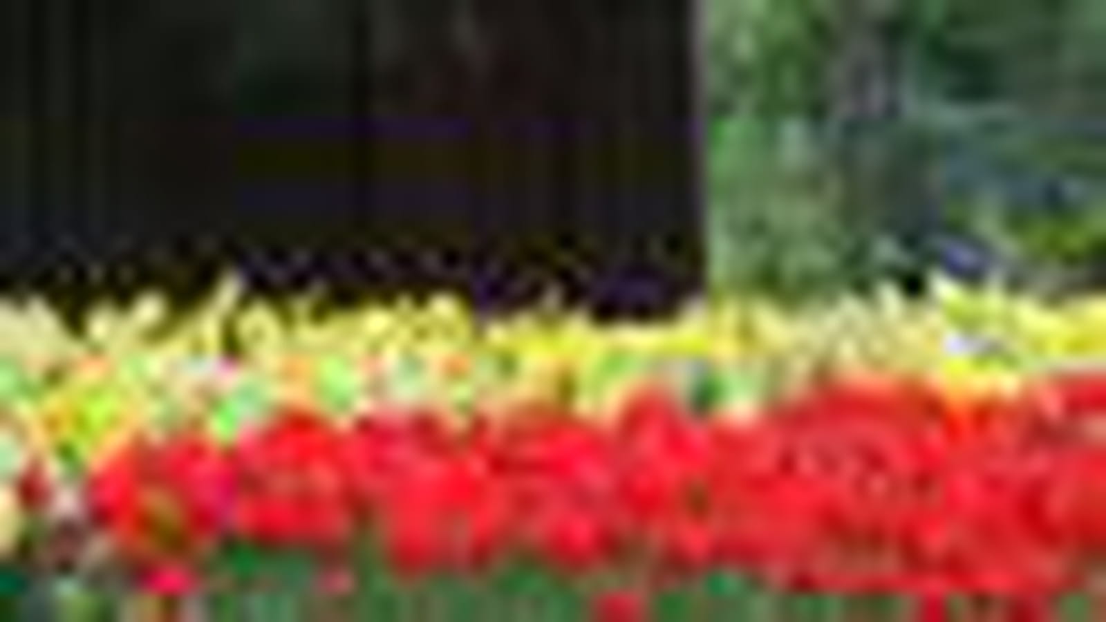 Keukenhof
