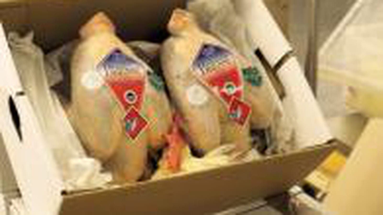 Par ici mon poulet !