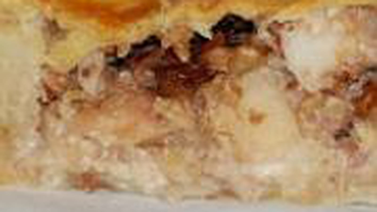 Tourte pommes-fruits secs