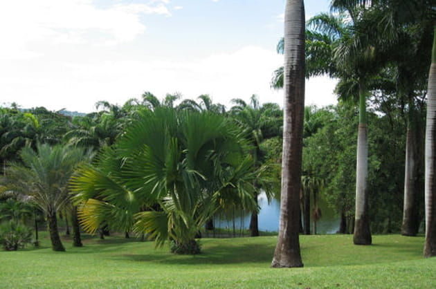 Parc de l'Habitation Clément, Martinique