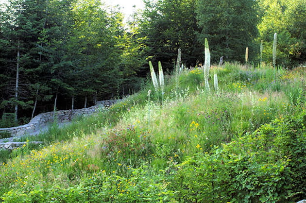 L'aspect land art du jardin