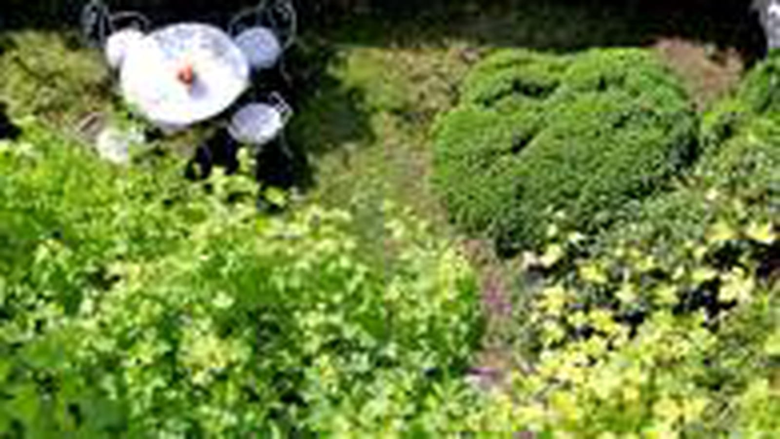 Vue sur le jardin