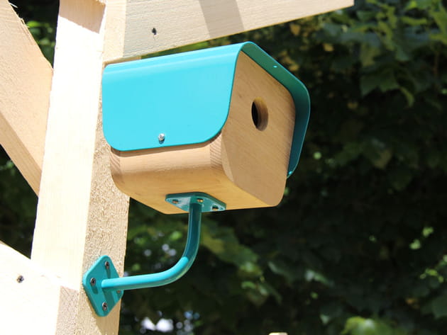 Attention, l'oiseau a l'oeil