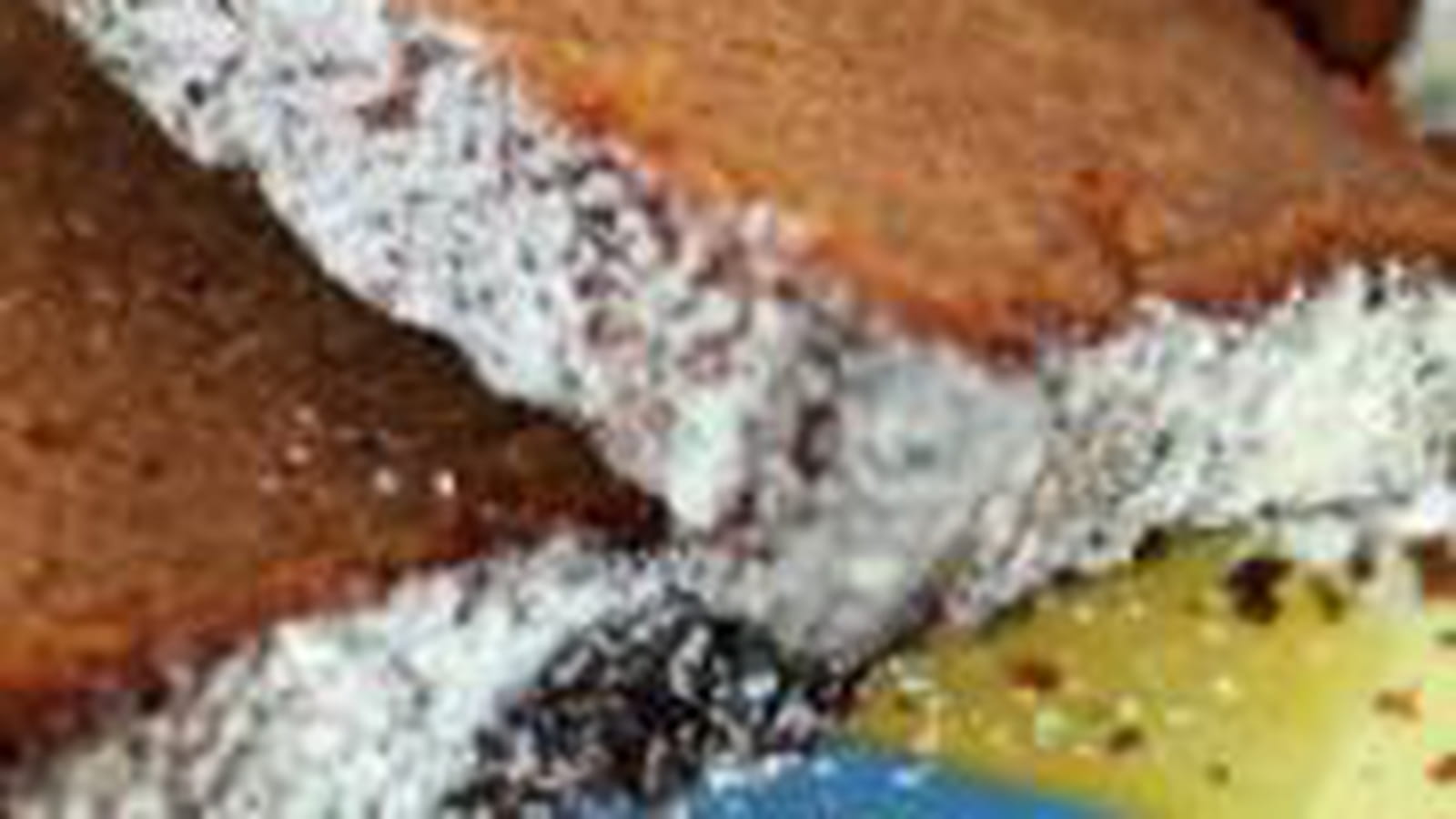 Cake  ricotta chocolat praliné