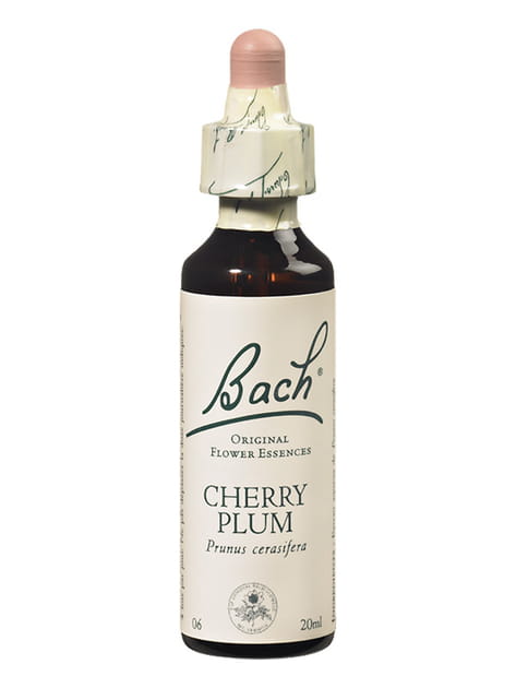 Cherry Plum (prunier)&nbsp;: pour retrouver le contr&ocirc;le