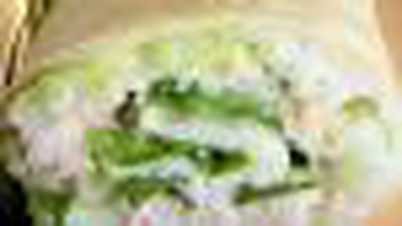 Wraps