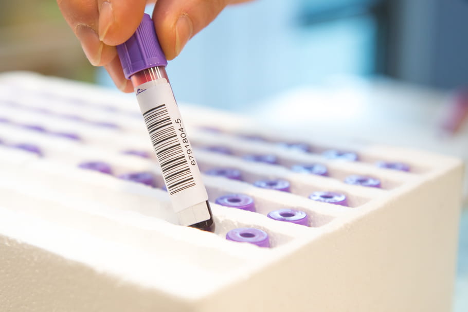 Virus Zika : restriction des dons de sang en France