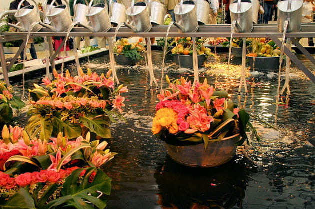 Sculptures sur fruits