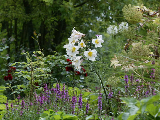 Le jardin des Fa&iuml;ences