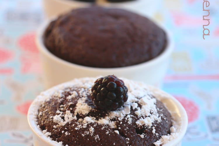 Recette De Minis Moelleux Au Cacao