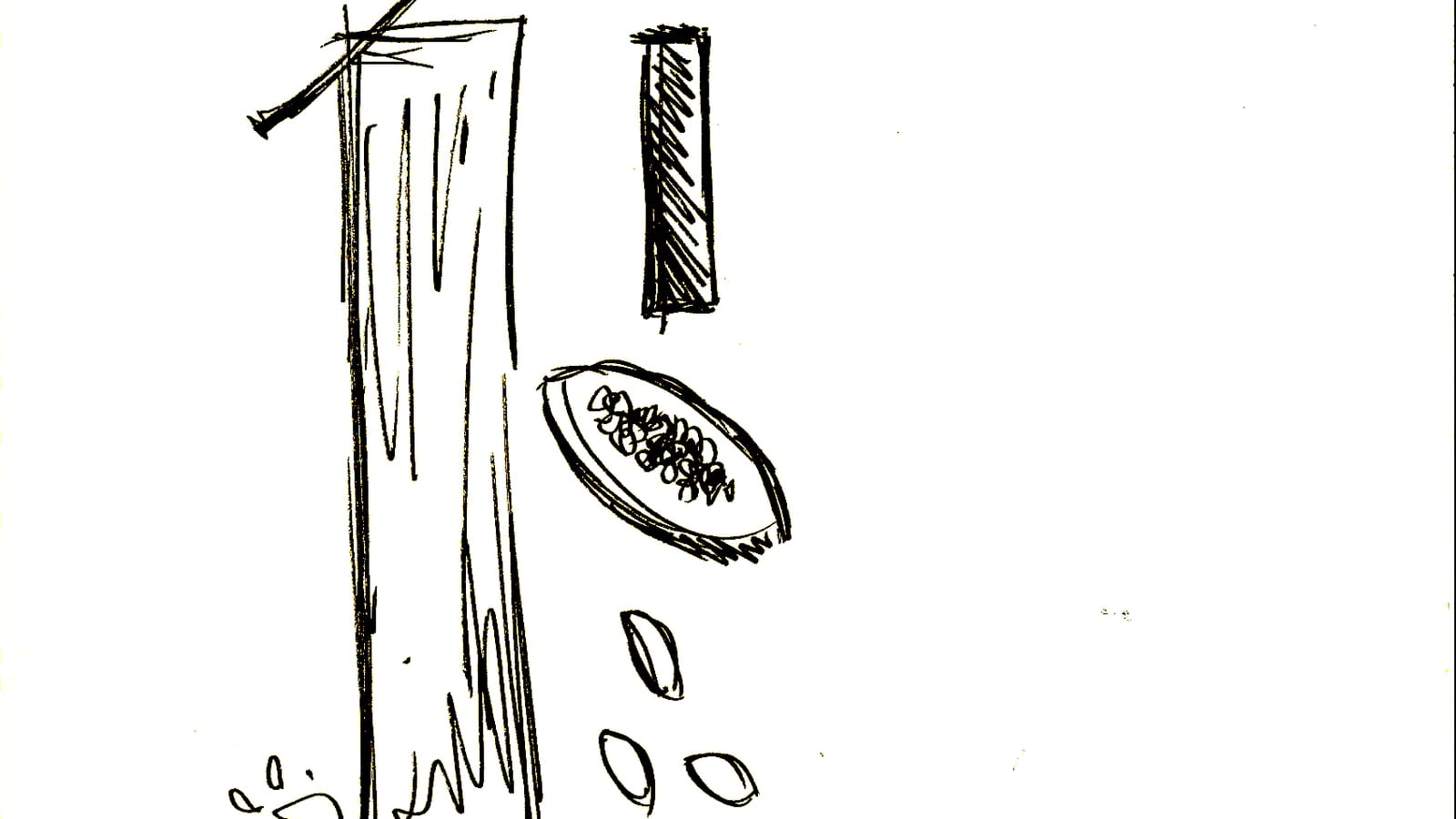 Dessin morta