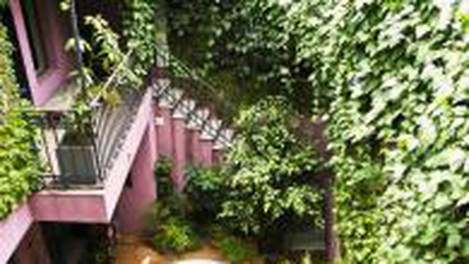 Côté cour