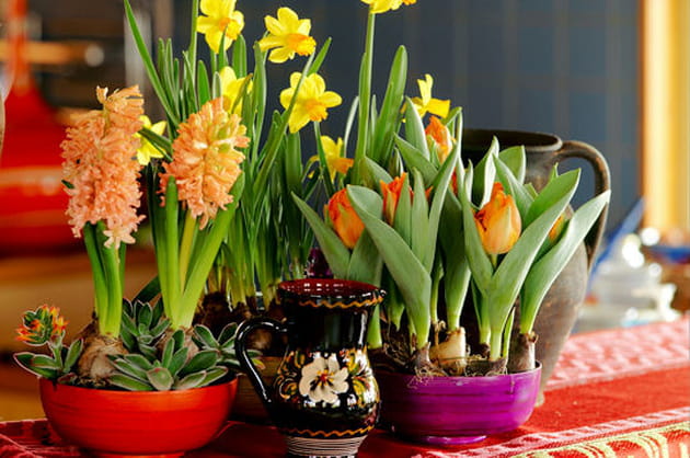 De la couleur &agrave; l'int&eacute;rieur